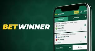 How to Log In to Your BetWinner Account